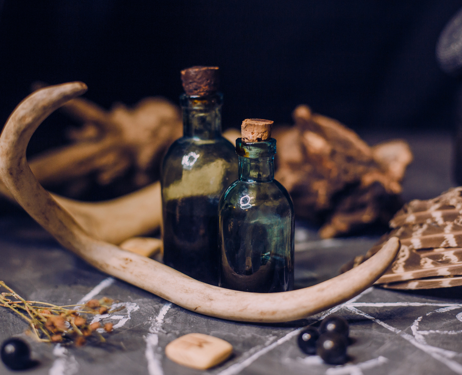 Viridian Candle Co. Must-haves - Realm Essentials. Potion apothecary bottles on a table with pieces of driftwood and dried botanicals.